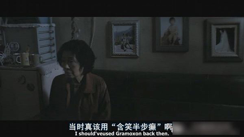 字幕翻譯怎么做？
